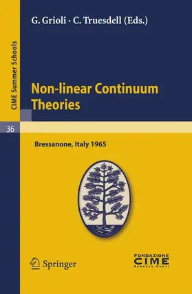 Grioli / Truesdell |  Non-linear Continuum Theories | Buch |  Sack Fachmedien