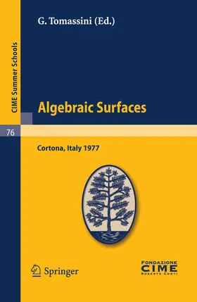 Tomassini |  Algebraic Surfaces | Buch |  Sack Fachmedien