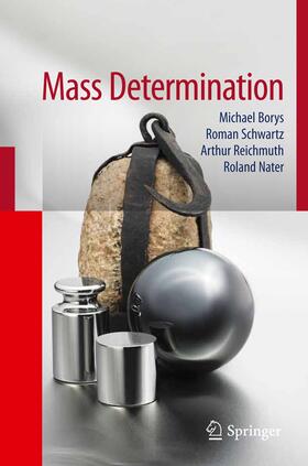 Borys / Nater / Schwartz |  Fundamentals of Mass Determination | Buch |  Sack Fachmedien