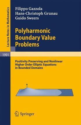 Gazzola / Sweers / Grunau |  Polyharmonic Boundary Value Problems | Buch |  Sack Fachmedien