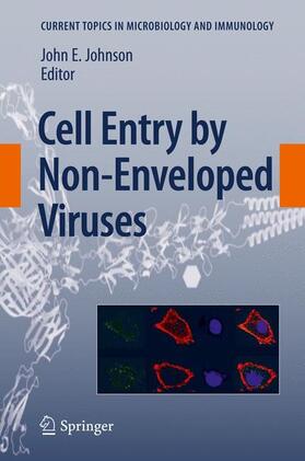 Johnson |  Cell Entry by Non-Enveloped Viruses | Buch |  Sack Fachmedien