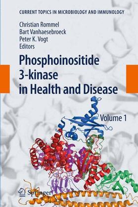 Rommel / Vogt / Vanhaesebroeck |  Phosphoinositide 3-kinase in Health and Disease | Buch |  Sack Fachmedien