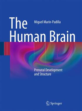 Marín-Padilla |  The Human Brain | Buch |  Sack Fachmedien