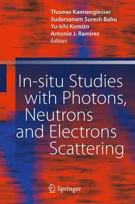 Kannengiesser / Babu / Komizo |  In-situ Studies with Photons, Neutrons and Electrons Scattering | Buch |  Sack Fachmedien