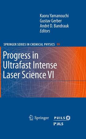 Yamanouchi / Bandrauk / Gerber |  Progress in Ultrafast Intense Laser Science VI | Buch |  Sack Fachmedien