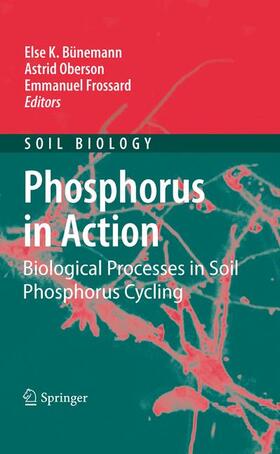 Bünemann / Frossard / Oberson |  Phosphorus in Action | Buch |  Sack Fachmedien