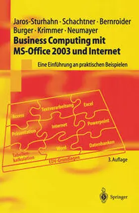 Jaros-Sturhahn / Schachtner / Bernroider |  Business Computing mit MS-Office 2003 und Internet | eBook | Sack Fachmedien