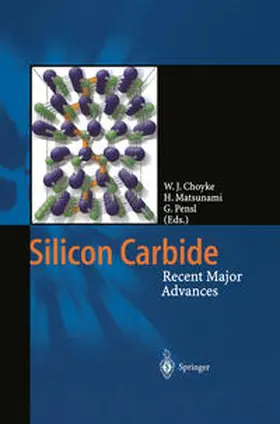 Choyke / Matsunami / Pensl |  Silicon Carbide | eBook | Sack Fachmedien