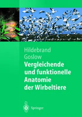 Hildebrand / Goslow |  Vergleichende und funktionelle Anatomie der Wirbeltiere | eBook | Sack Fachmedien