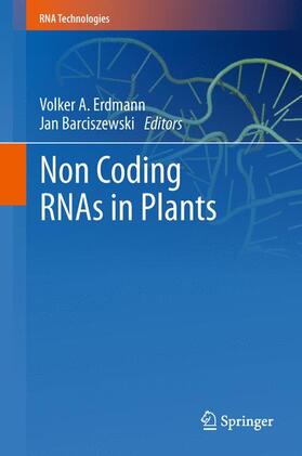 Barciszewski / Erdmann |  Non Coding RNAs in Plants | Buch |  Sack Fachmedien