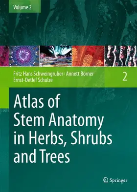 Schweingruber / Börner / Schulze |  Atlas of Stem Anatomy in Herbs, Shrubs and Trees | Buch |  Sack Fachmedien