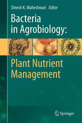 Maheshwari |  Bacteria in Agrobiology: Plant Nutrient Management | Buch |  Sack Fachmedien