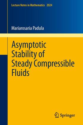 Padula |  Asymptotic Stability of Steady Compressible Fluids | Buch |  Sack Fachmedien