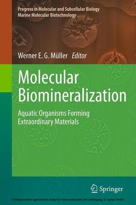 Müller |  Molecular Biomineralization | eBook | Sack Fachmedien