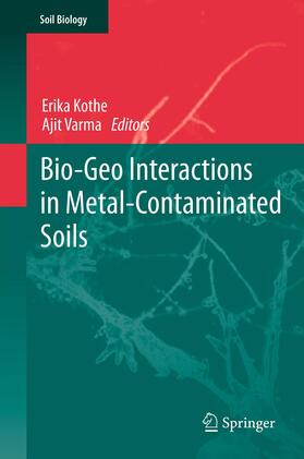 Kothe / Varma |  Bio-Geo Interactions in Metal-Contaminated Soils | eBook | Sack Fachmedien