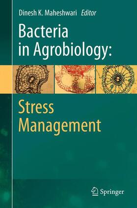 Maheshwari |  Bacteria in Agrobiology: Stress Management | Buch |  Sack Fachmedien