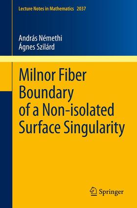 Szilárd / Némethi |  Milnor Fiber Boundary of a Non-isolated Surface Singularity | Buch |  Sack Fachmedien
