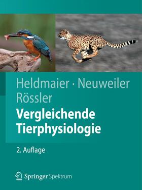 Heldmaier / Neuweiler / Rössler |  Vergleichende Tierphysiologie | Buch |  Sack Fachmedien