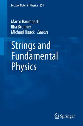 Baumgartl / Haack / Brunner |  Strings and Fundamental Physics | Buch |  Sack Fachmedien