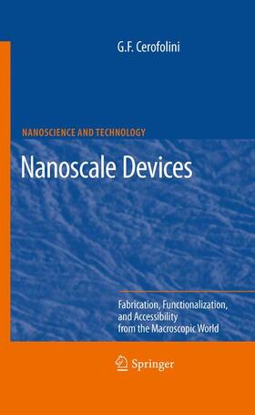 Cerofolini |  Nanoscale Devices | Buch |  Sack Fachmedien