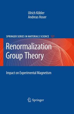 Hoser / Köbler |  Renormalization Group Theory | Buch |  Sack Fachmedien