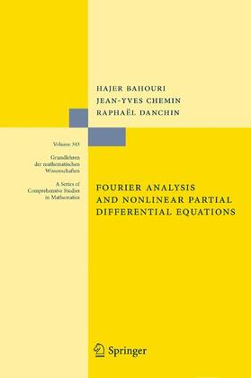 Bahouri / Danchin / Chemin |  Fourier Analysis and Nonlinear Partial Differential Equations | Buch |  Sack Fachmedien
