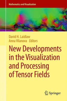 Vilanova / Laidlaw |  New Developments in the Visualization and Processing of Tensor Fields | Buch |  Sack Fachmedien