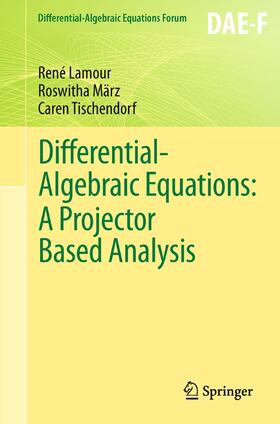 Lamour / Tischendorf / März |  Differential-Algebraic Equations: A Projector Based Analysis | Buch |  Sack Fachmedien