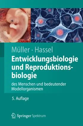 Müller / Hassel |  Entwicklungsbiologie und Reproduktionsbiologie des Menschen und bedeutender Modellorganismen | eBook | Sack Fachmedien