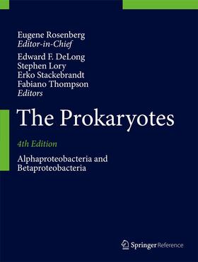Lory / DeLong / Thompson | The Prokaryotes | Buch | 978-3-642-30196-4 | sack.de