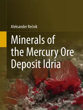 Recnik |  Minerals of the mercury ore deposit Idria | Buch |  Sack Fachmedien