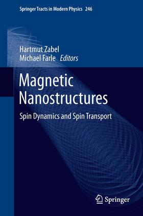 Farle / Zabel |  Magnetic Nanostructures | Buch |  Sack Fachmedien