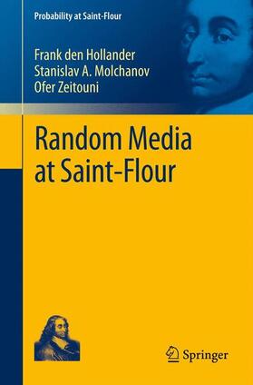 den Hollander / Zeitouni / Molchanov |  Random Media at Saint-Flour | Buch |  Sack Fachmedien