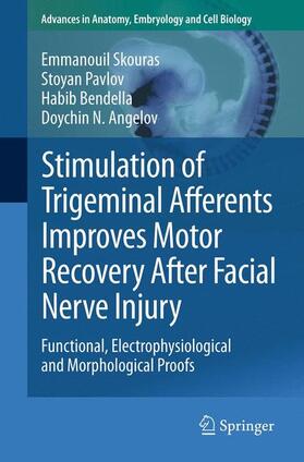 Skouras / Angelov / Pavlov |  Stimulation of Trigeminal Afferents Improves Motor Recovery After Facial Nerve Injury | Buch |  Sack Fachmedien