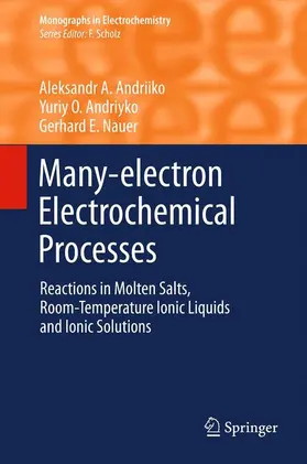 Andriiko / Nauer / Andriyko |  Many-electron Electrochemical Processes | Buch |  Sack Fachmedien