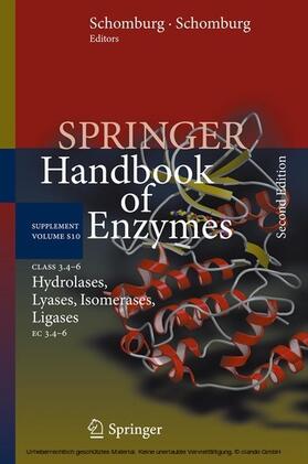 Schomburg / Chang |  Class 3.4–6 Hydrolases, Lyases, Isomerases, Ligases | eBook | Sack Fachmedien