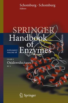 Schomburg / Chang |  Class 1 Oxidoreductases | eBook | Sack Fachmedien