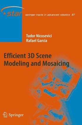 Garcia / Nicosevici |  Efficient 3D Scene Modeling and Mosaicing | Buch |  Sack Fachmedien