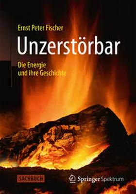 Fischer |  Unzerstörbar | Buch |  Sack Fachmedien