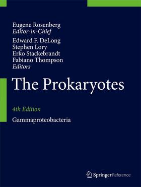 Lory / DeLong / Thompson | The Prokaryotes | Buch | 978-3-642-38921-4 | sack.de