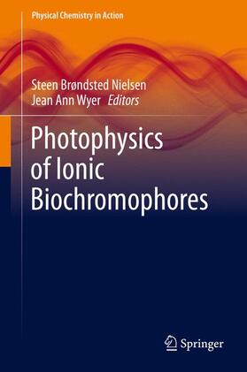 Wyer / Brøndsted Nielsen |  Photophysics of Ionic Biochromophores | Buch |  Sack Fachmedien