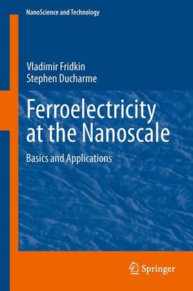Ducharme / Fridkin |  Ferroelectricity at the Nanoscale | Buch |  Sack Fachmedien