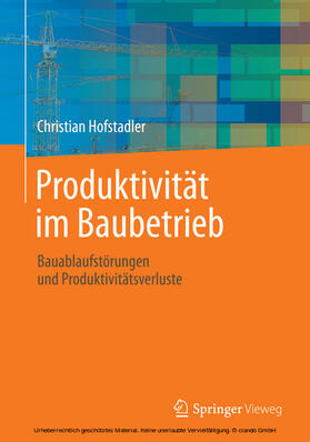 Hofstadler |  Produktivität im Baubetrieb | eBook | Sack Fachmedien
