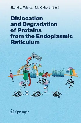 Kikkert / Wiertz |  Dislocation and Degradation of Proteins from the Endoplasmic Reticulum | Buch |  Sack Fachmedien