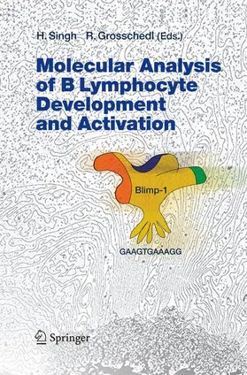 Grosschedl / Singh |  Molecular Analysis of B Lymphocyte Development and Activation | Buch |  Sack Fachmedien