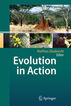 Glaubrecht |  Evolution in Action | Buch |  Sack Fachmedien