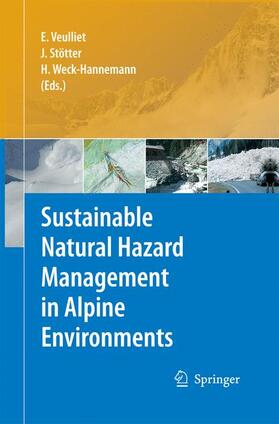 Veulliet / Weck-Hannemann / Johann |  Sustainable Natural Hazard Management in Alpine Environments | Buch |  Sack Fachmedien