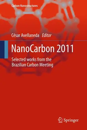 Avellaneda |  NanoCarbon 2011 | Buch |  Sack Fachmedien