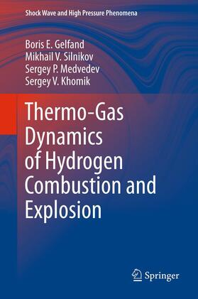 Gelfand / Khomik / Silnikov |  Thermo-Gas Dynamics of Hydrogen Combustion and Explosion | Buch |  Sack Fachmedien
