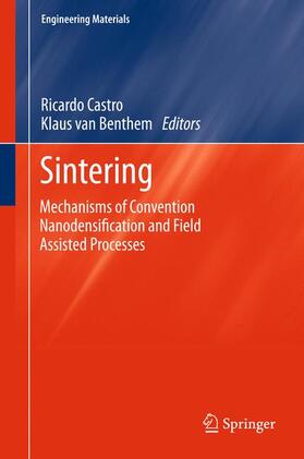 van Benthem / Castro |  Sintering | Buch |  Sack Fachmedien